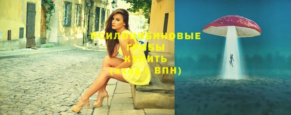 ПСИЛОЦИБИНОВЫЕ ГРИБЫ Туринск